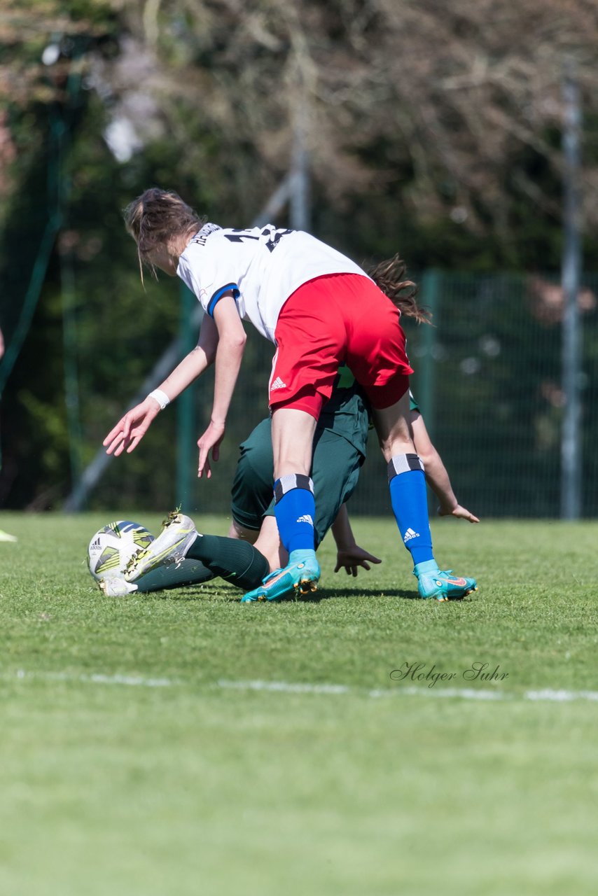 Bild 235 - wBJ Hamburger SV - WfL Wolfsburg : Ergebnis: 2:1